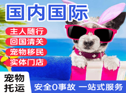 连云港花果山空运代理国际宠物托运 【国